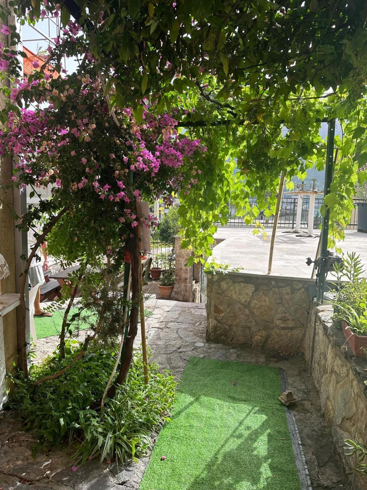 Themis Apart Hotel Kotor Luaran gambar