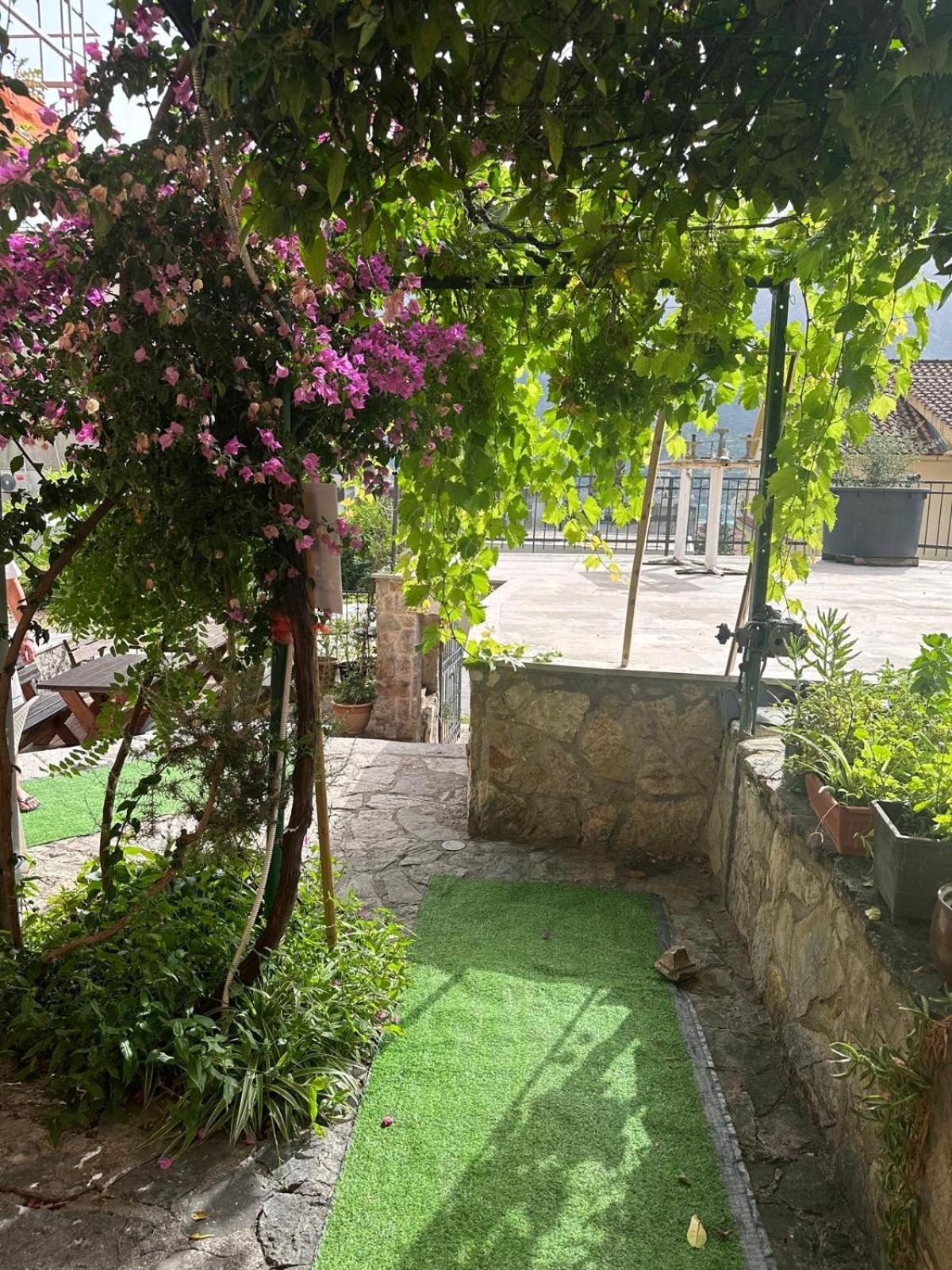 Themis Apart Hotel Kotor Luaran gambar