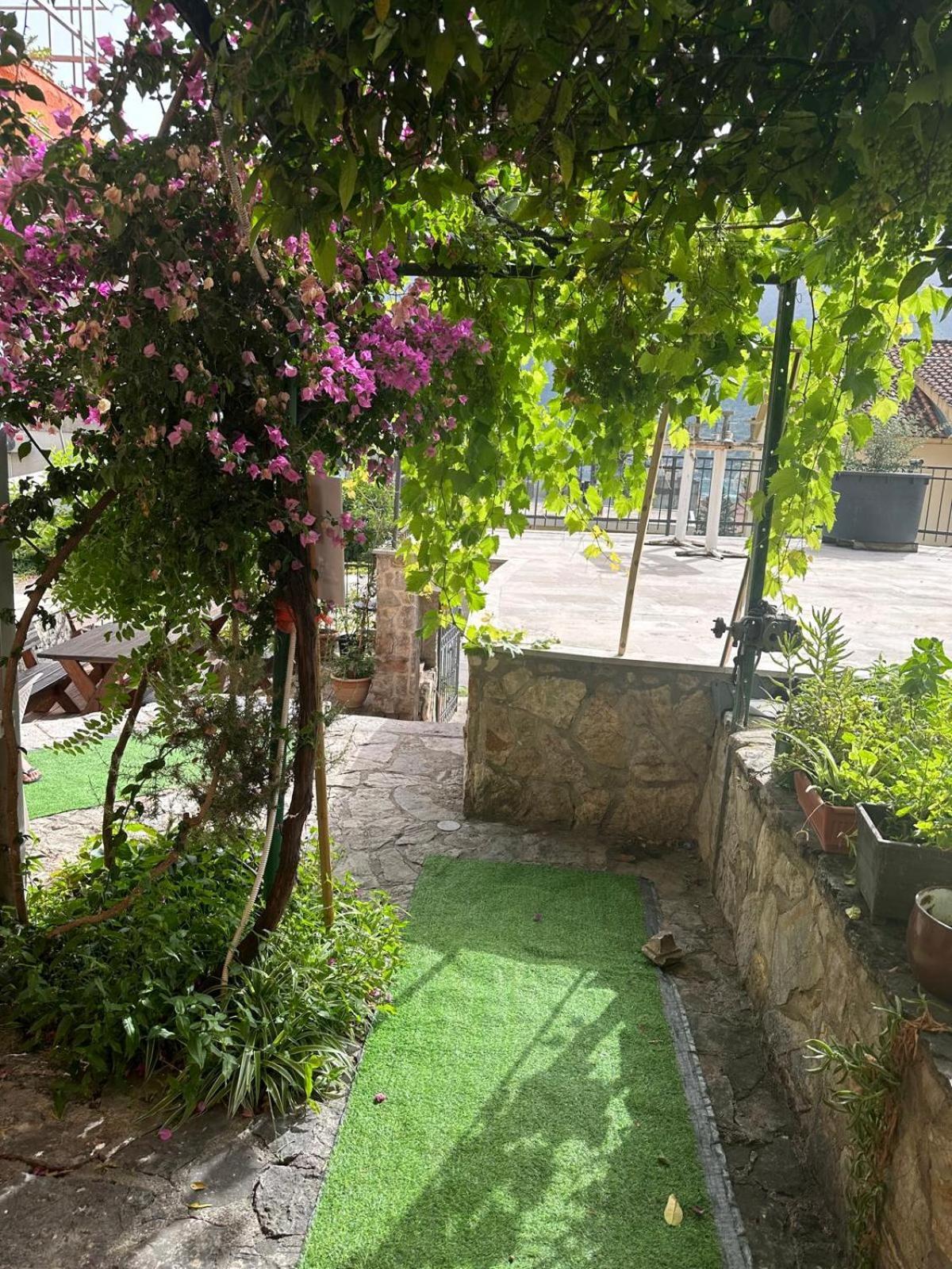 Themis Apart Hotel Kotor Luaran gambar